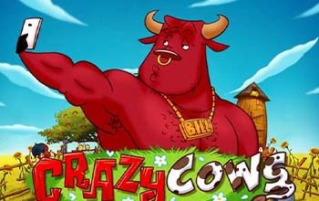 Crazy Cows